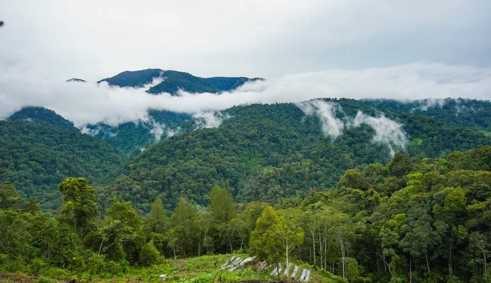 Gunung Leuser: Keindahan Alam Sumatera Utara yang Memukau